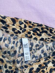 Zara Leopard Print Crop Top - S
