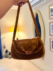 Cute Teddy Face Bag for Kids & Adults