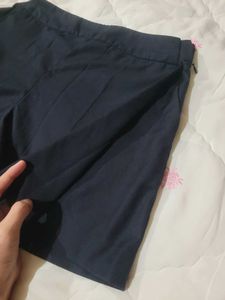 Navy Blue Skirt