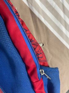 Spider-Man Backpack for Kids
