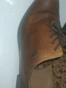 Classic Leather Oxford Shoes