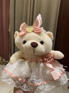 Cute Teddy Bear with Dress