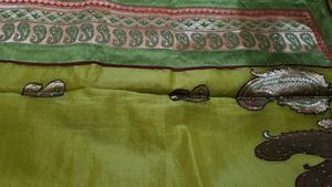 Organza Green Saree with Paisley Motifs