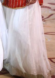 Elegant White Tulle Skirt with Gold Border