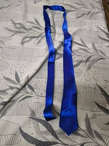 Set of 4 Satin Ties