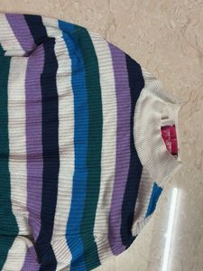 turtle neck ribbed fitted stretchable top