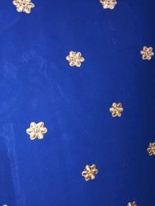 Stunning Blue Kurta Set with Gold Embroidery