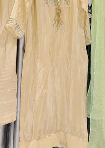 Elegant Pakistani Salwar Suit(Offer Price)