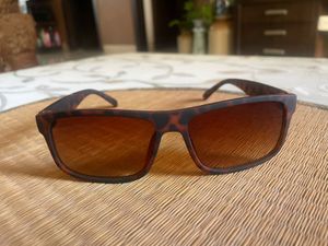 New Brown Leopard Sunglasses with Rectangle Rim