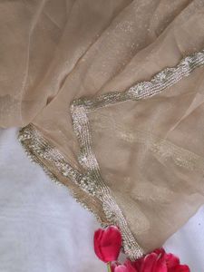 Elegant Golden y2k Saree