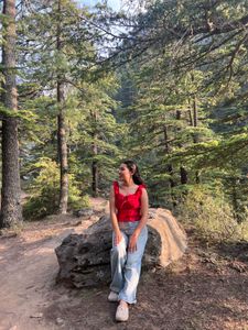 Savana Red Sleeveless Crop Top