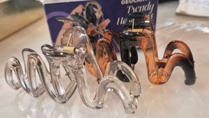 Trendy Claw Clips Set
