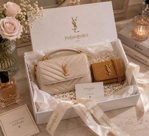 YSL Bag & chain wallet - Combo