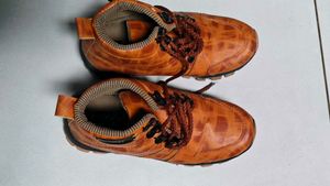 Boys Tan Casual Shoes