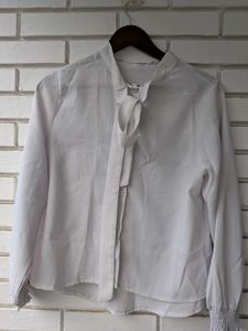 Elegant Whitish  Bow Blouse