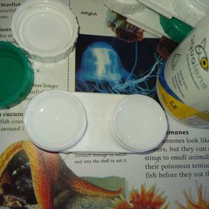 3 Lens Cases With Free Solution🚨