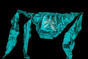 Satin Bikini Brief/Panty