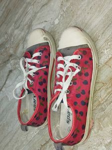 SPARX SHOES