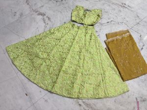 Designer Lehenga Choli Set