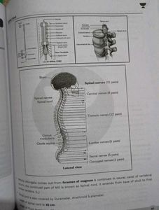 NEET UG Class 11 Modules