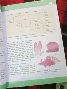 Class 11 Biology Textbook