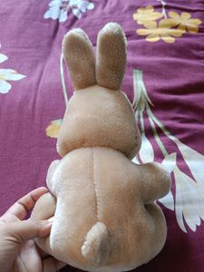Bunny Softoy