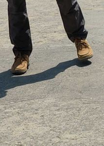Woodland New Shoes