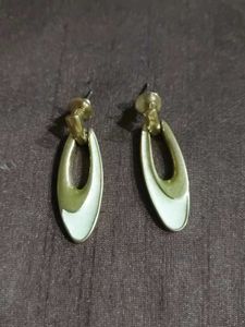 Elegant Oval Drop Earrings