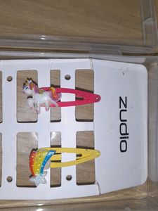 Zudio brand new hair pins