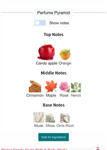 Bbw winter candy apple 10ml DECANT