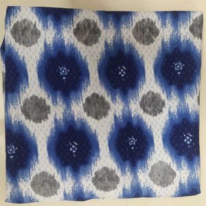 Chic Blue &amp; White Print Dress