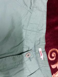 Light Green Casual Shorts