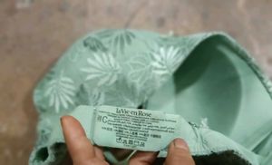 Light Green Lace Bra