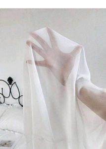 Sheer White Button-Up Top New