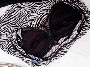 Zebra Print Bikini Set