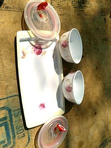 new Food Storage Containers with Lids&amp; tray