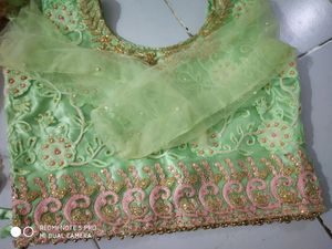 Crop Top Choli