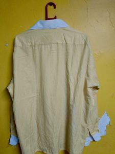 Peter England Striped Shirt