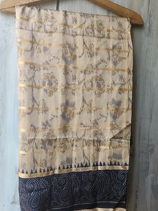 Nude Saree