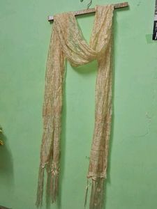Sheer Embellished Dupatta Scarf of 1