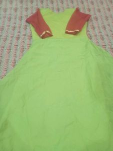 Beautiful Green Ethnic Gown