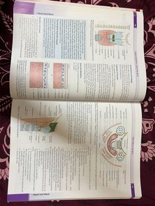 BD Chaurasia Human Anatomy Vol 3