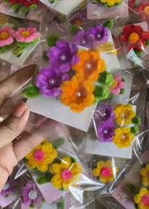 Brand New Hair Clips