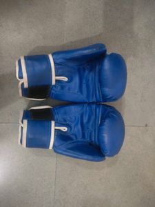 Blue Boxing Gloves