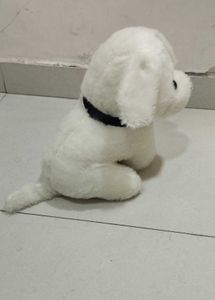 Cute White Plush Puppy