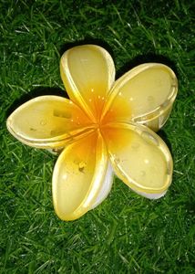 Trending Floral Design Hair Claw