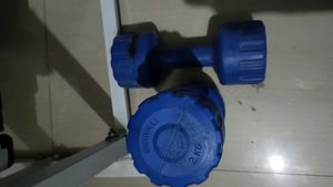 Blue 2KG Dumbbells Set