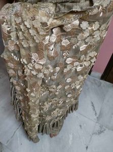 Sparkling Ruffled Saree