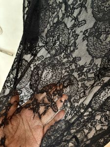 Elegant Sheer Black Lace Collared Dress