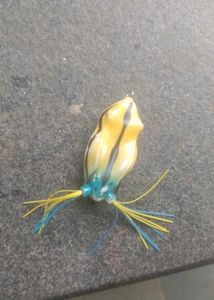 Fishing frog